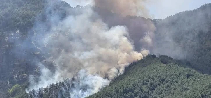 Kaş’taki orman yangınında söndürme çalışmaları ikinci gününde