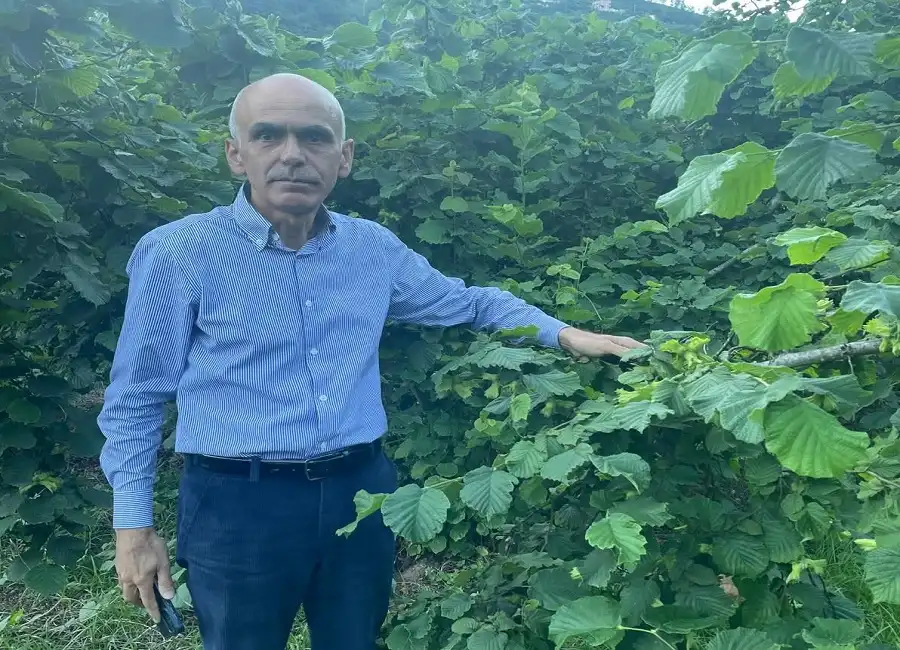 Giresun Ziraat Odası’ndan fındık fiyatı tepkisi