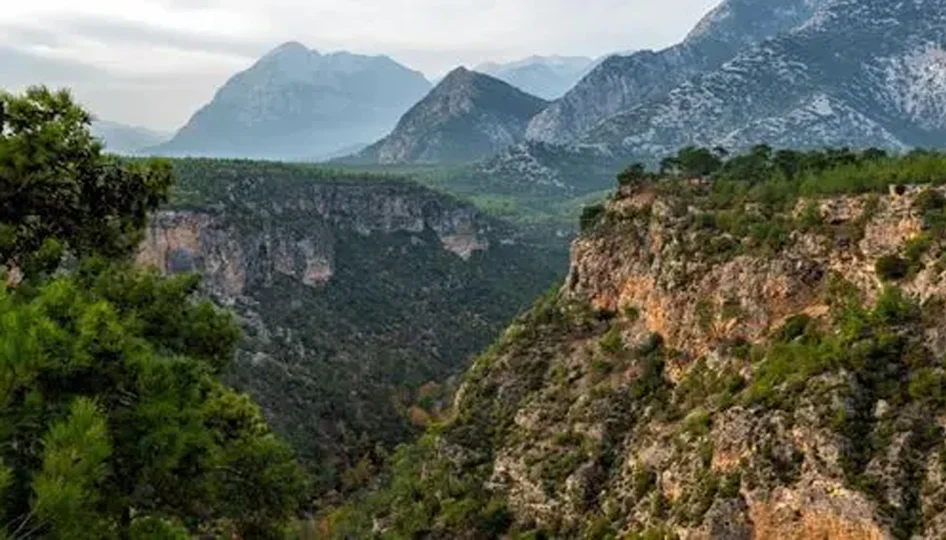 Antalya, Türkiye’nin orman başkenti: 11,7 milyon dönümlük yeşil güce sıkı koruma