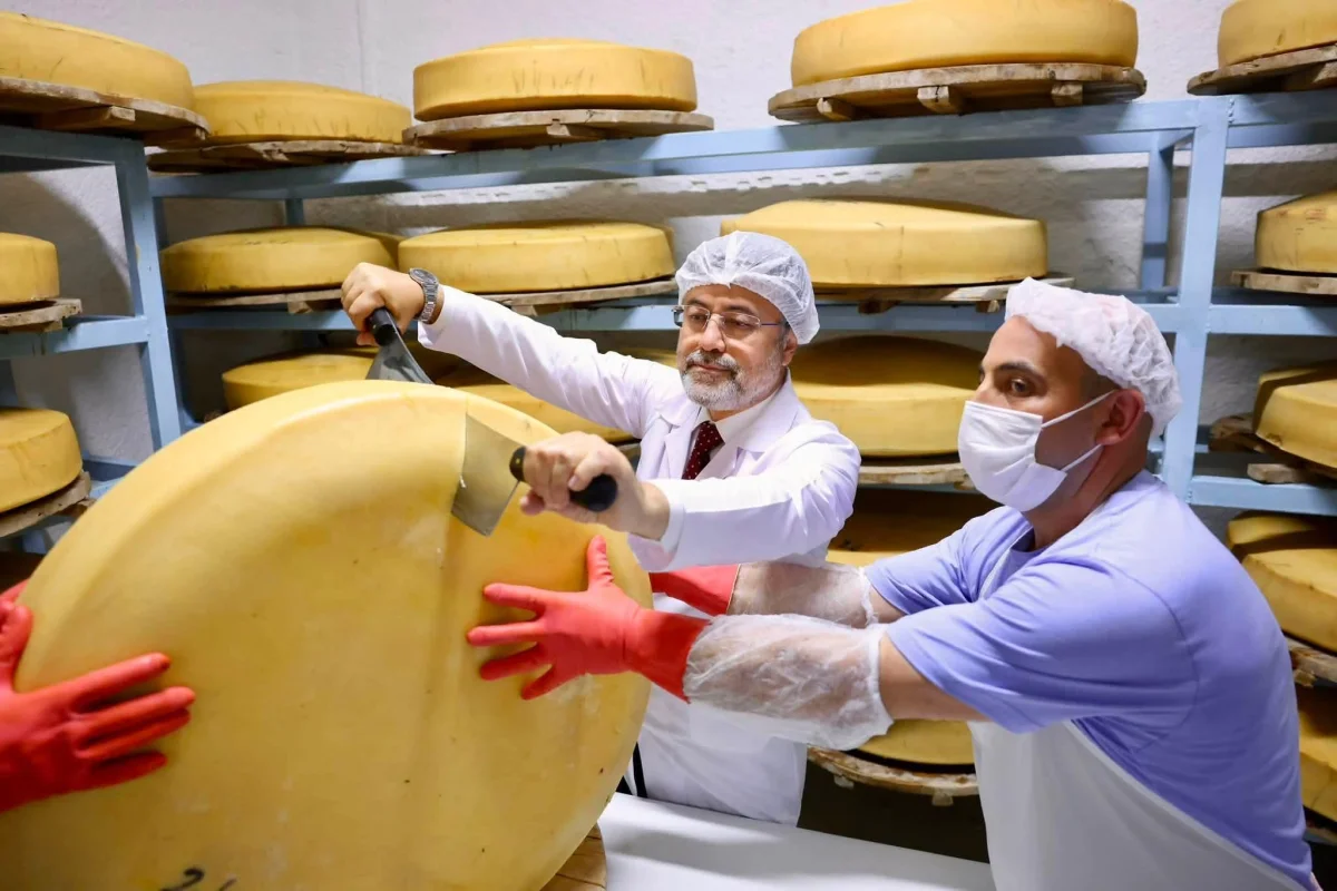 Bakan Yumaklı, Kars’ta gravyer ve kaşar üretim tesisini ziyaret etti