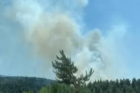 Balıkesir ve Bolu’da orman yangınları: Ekiplerin müdahalesi sürüyor