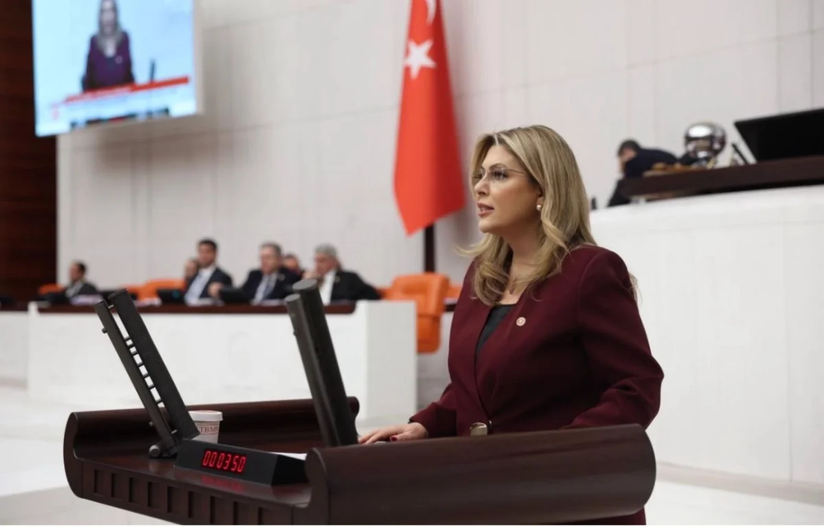 Elvan Işık Gezmiş: Güney Çevre Yolu Mutlaka Başlamalı