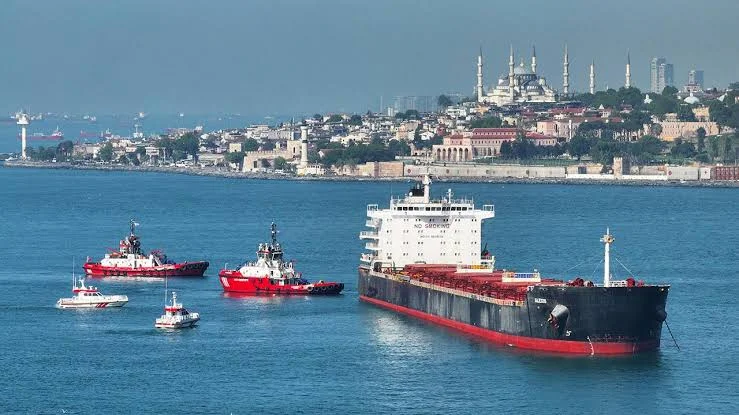 Sis nedeniyle İstanbul Boğazı gemi geçişine kapatıldı