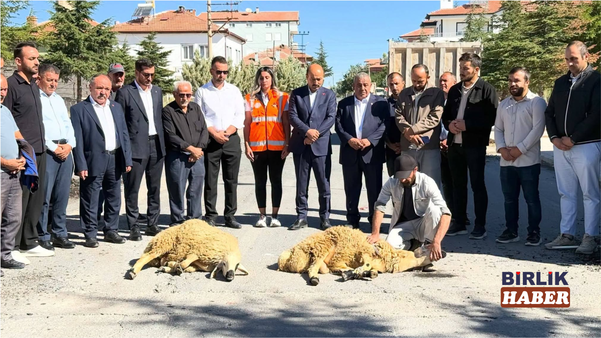 Gülağaç’ta sıcak asfalt sevinci! Çalışmalar başladı