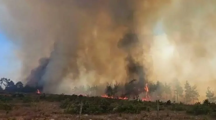 Muğla’da orman yangını büyüyor: Ula’ya ulaştı