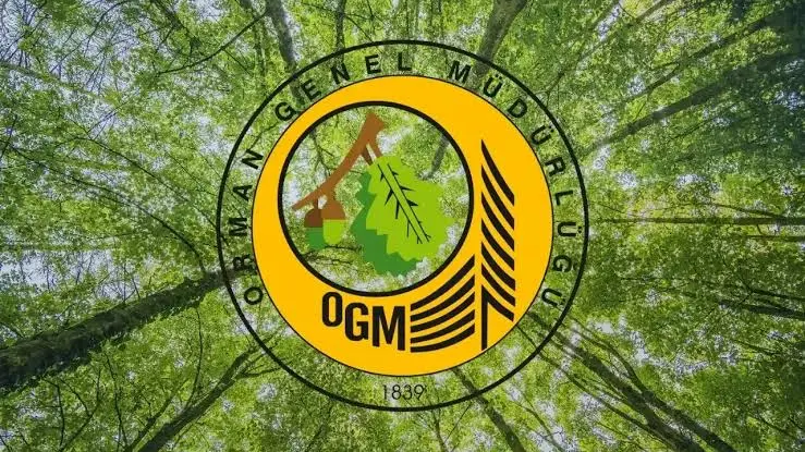 OGM duyurdu; Antalya ve Adana’daki yangınlar kontrol altında
