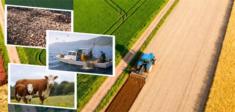 3.7 Milyar Liralık Destekleme Ödemesi Hesaplara Aktarılıyor