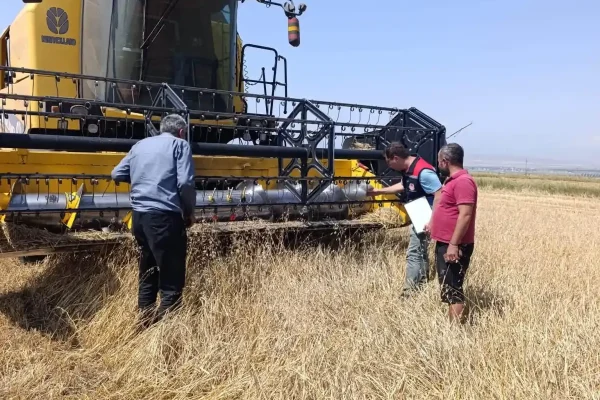 Kars’ta biçerdöver hasadı kontrolleri sürüyor
