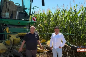 Aksaray’da Silajlık Mısır Hasadı Başladı