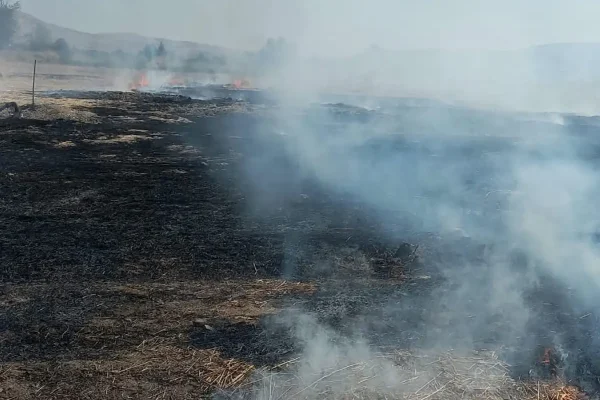 Beypazarı’nda Anız Yangını