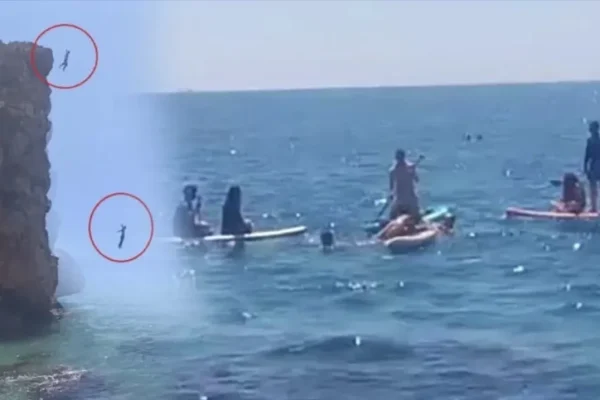 Antalya’da korku dolu anlar: Falezlerden atladı