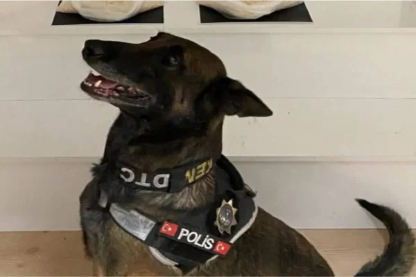 Balıkesir Savaştepe’de 3 kilo 988 gram metamfetamin operasyonu