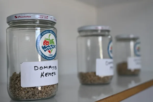 Ata Tohum projesi, katlanarak yürüyor