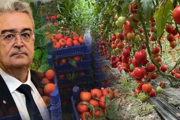 Burdur’da Tefenni için çağrı