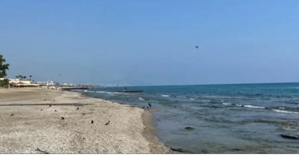 Alanya kıyılarında alarm: Mikroplastik kirliliği Akdeniz ortalamasını 65’e katladı