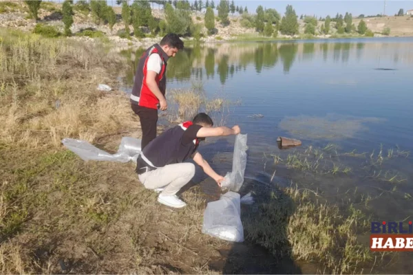 Ağaçören’de göletlere 6 bin yavru sazan bırakıldı