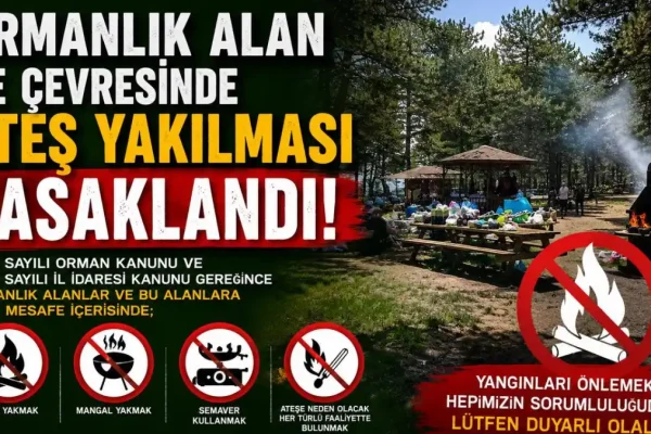 Kars’ta orman yangınlarına karşı sıkı tedbirler