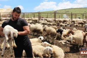 Uzman Çavuşluğu Bıraktı, Hayvancılıkta Zirveye Çıktı