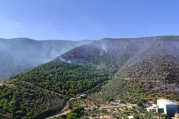 Yalova-Bursa sınırındaki yangın kontrol altına alındı