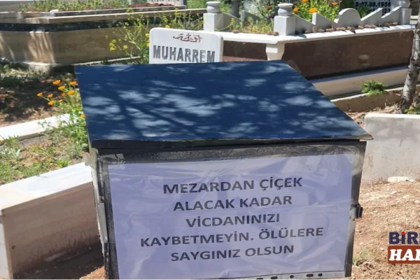 Mezarlıktan Çalınan Çiçekler Sosyal Medyada Gündem Oldu