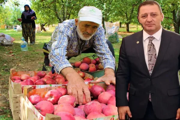 Milletvekili Sönmez açıkladı: Binlerce ton elma alıcı bekliyor
