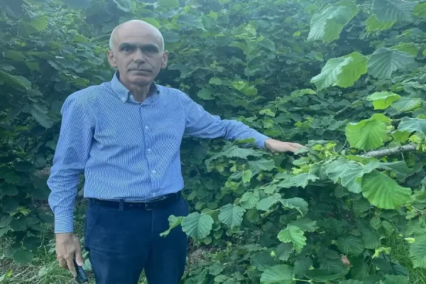 Nurittin Karan; Fındık Bölgesi Milletvekilleri Neden Sessiz?