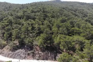 Kahramanmaraş’ta ormanlara girişlere yangın tedbiri