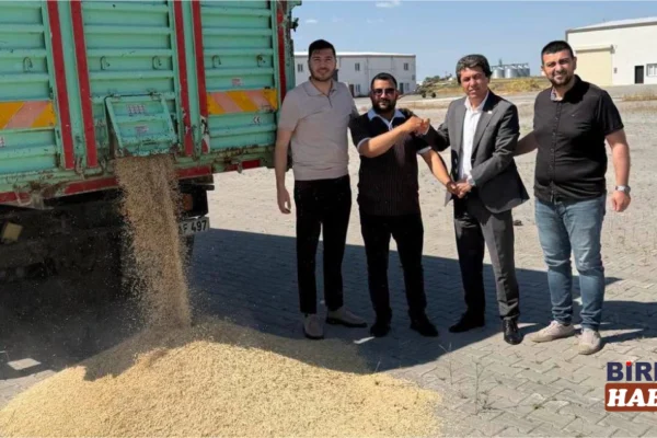 2026 Yaz Sezonunun İlk Arpası Ortaköy Ticaret Borsası’na Geldi