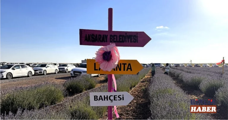Aksaray’ın Mor Cenneti Yeni Sezona Hazırlanıyor