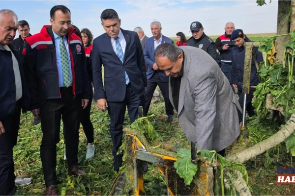 Sultanhanı’nda Şeker Pancarı Hasadı Başladı