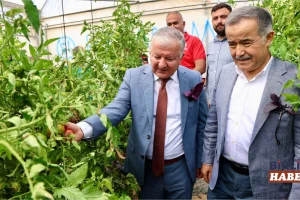 Gücünkaya Köyü’nde Devlet Destekli Seralar İncelendi
