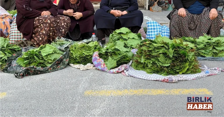 Aksaray’da Sezonun İlk Asma Yaprakları Tezgâhlarda Yerini Aldı