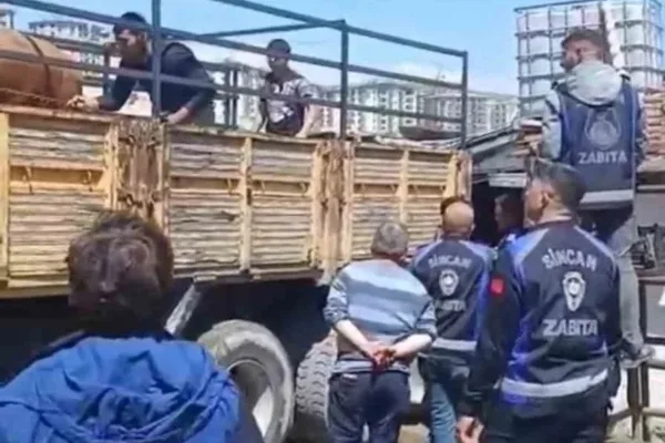 Sincan Belediyesi zabıta ekiplerince kaçak ahırlara denetim gerçekleştirildi