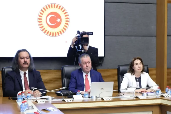 TİMBİR Akademik Kurul Başkanı Prof. Dr. Kamer’den TBMM’de dijital güvenlik sunumu: “Çocukların dijital güvenliği artırılmalı”