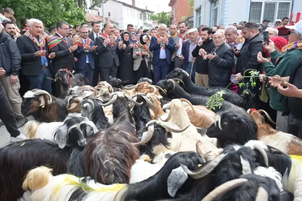 400 yıllık kurban indirme geleneği bu yıl da yaşatıldı
