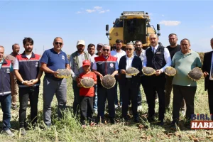 Aksaray ayçiçeğinde Türkiye 3.’sü
