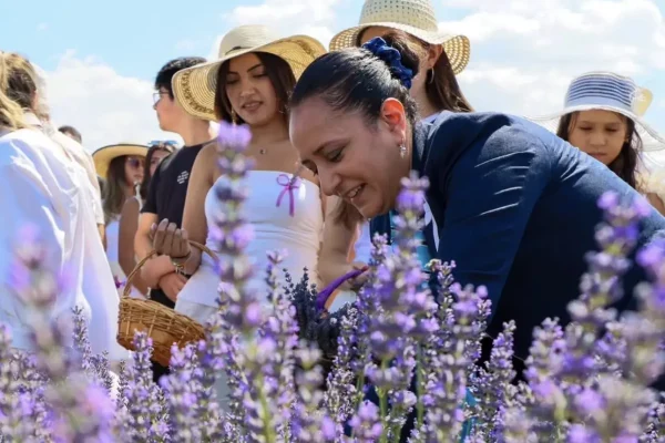 Burdur’da lavanta hasadı coşkusu yaşandı