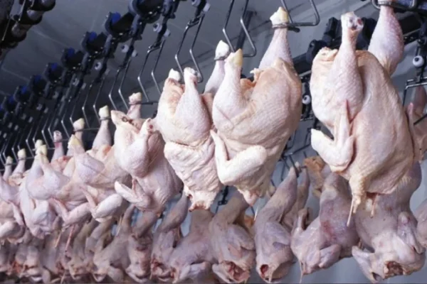 Beyaz et operasyonunda kayyım kararları kaldırıldı