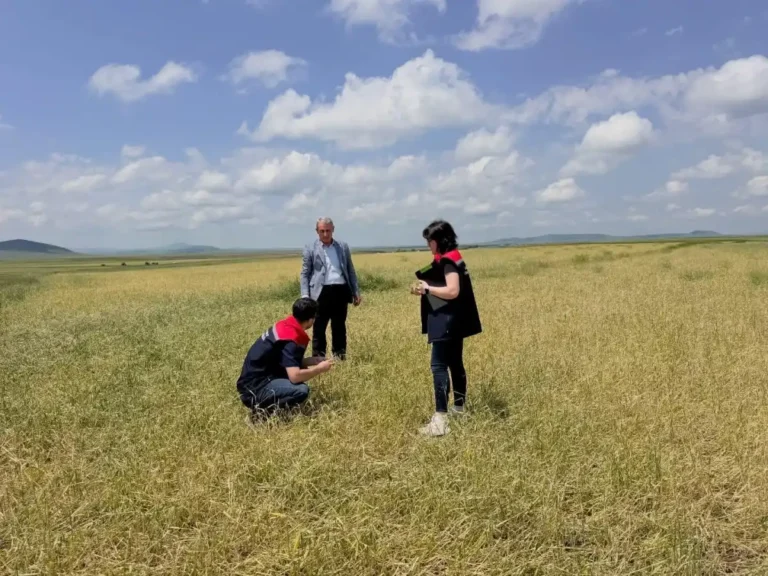 Kars’ta köylerde hasar tespit çalışmaları başlatıldı