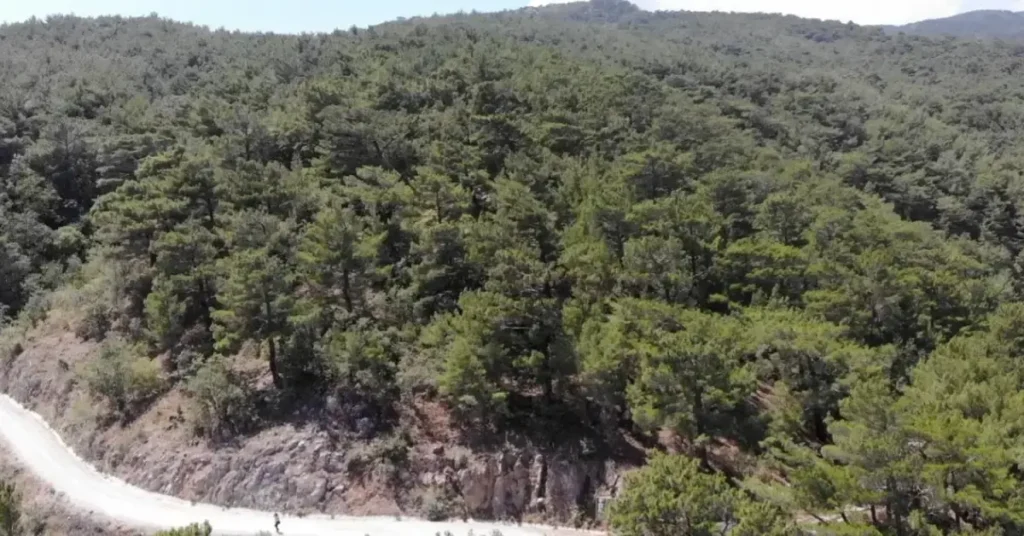 Kahramanmaraş’ta ormanlara girişlere yangın tedbiri
