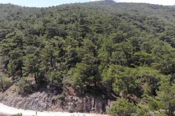 Balıkesir ve Kütahya’da ormanlara girişler yasaklandı