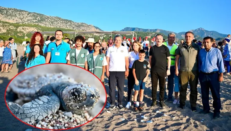 Doğal yaşam için ortak adım: Caretta carettalar denizle buluştu