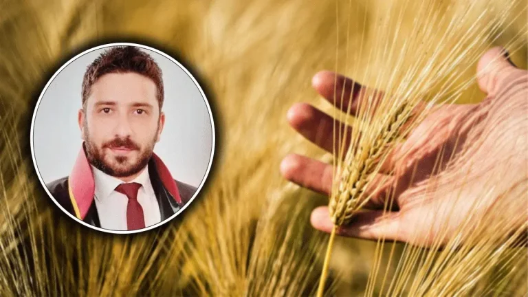 Şanlıurfalı çiftçilere kritik uyarı! “Ürünüm gitti” demeden önce bunu bilin