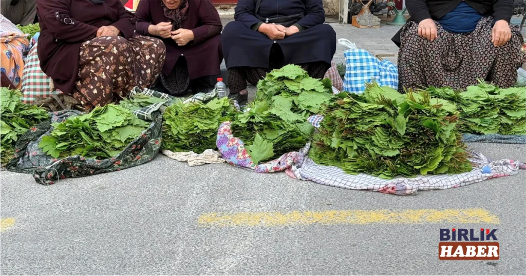 Aksaray’da Sezonun İlk Asma Yaprakları Tezgâhlarda Yerini Aldı