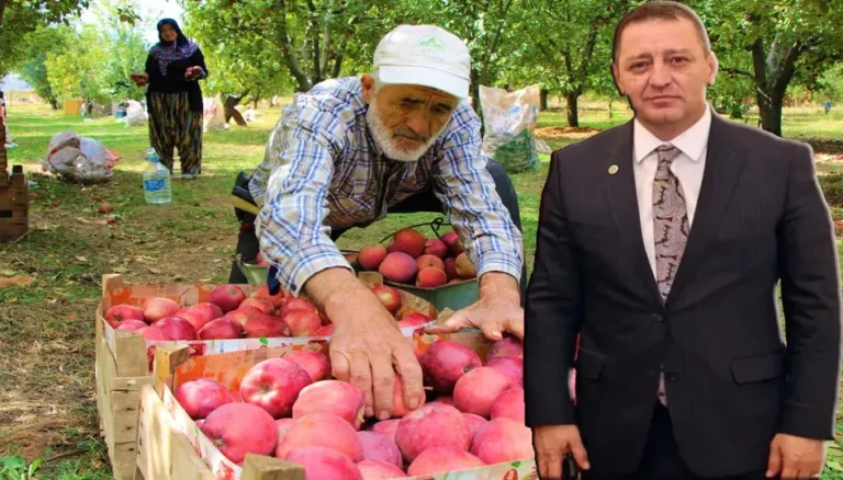 Milletvekili Sönmez açıkladı: Binlerce ton elma alıcı bekliyor