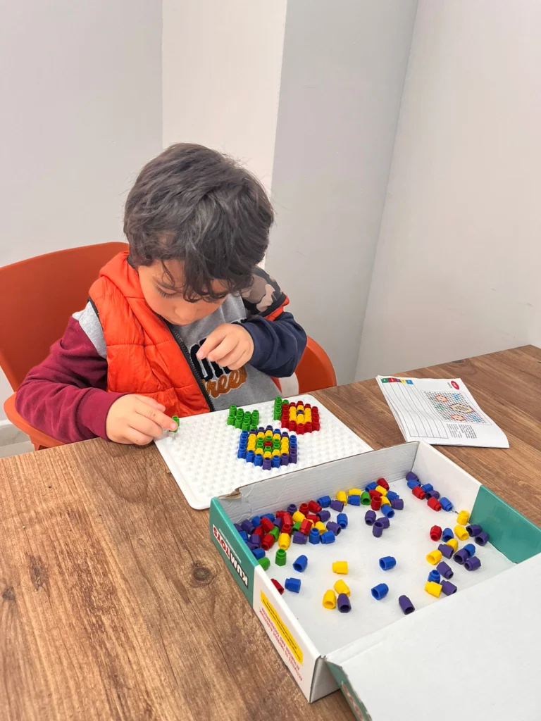 Altınok Bilişim Sanat Akademisi