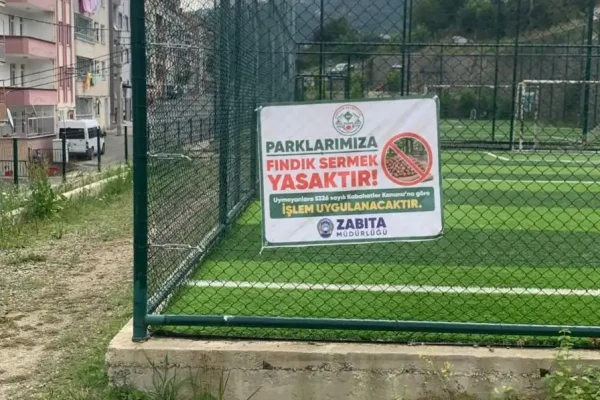 Fındık üretim sezonuna başlayacak üreticiler uyarıldı