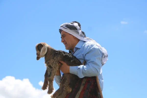 “Anne keçinin çığlığını duydu, taşların arasındaki oğlak’ı kurtardı”