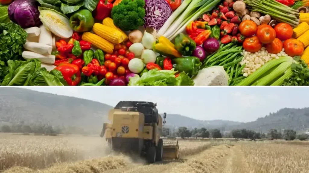 Tarım ürünlerinde fiyatlar eylülde düştü