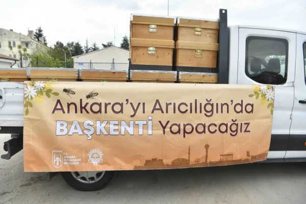 Başkent’te her kovan bir gelecek: ABB’den 5 bin adet arı kovanı desteği